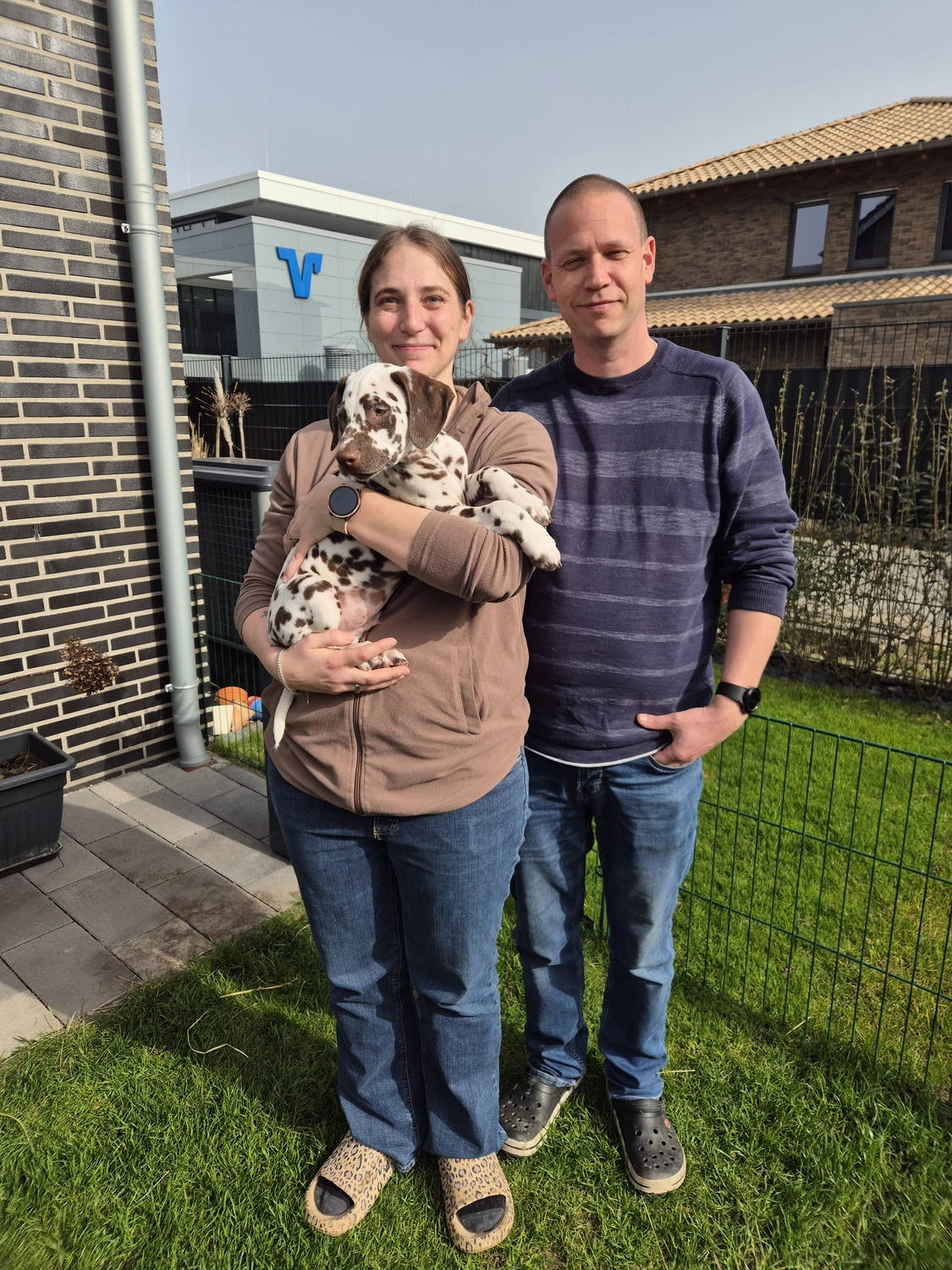 Dalmatiner - Zuchtstätte - Tierärztlicher Bericht über eine Ultraschalluntersuchung einer trächtigen Hündin namens Merle