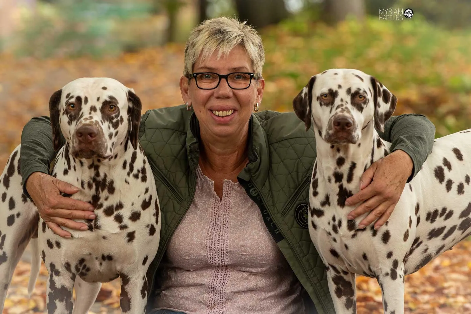 Dalmatinerzucht – Birgit Gosch