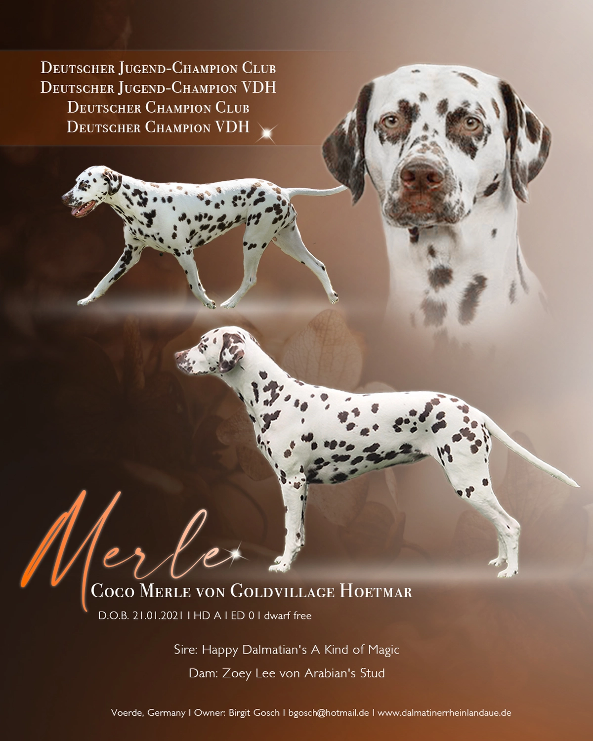 Dalmatiner - Zuchtstätte - Erreichten Titel von Merle