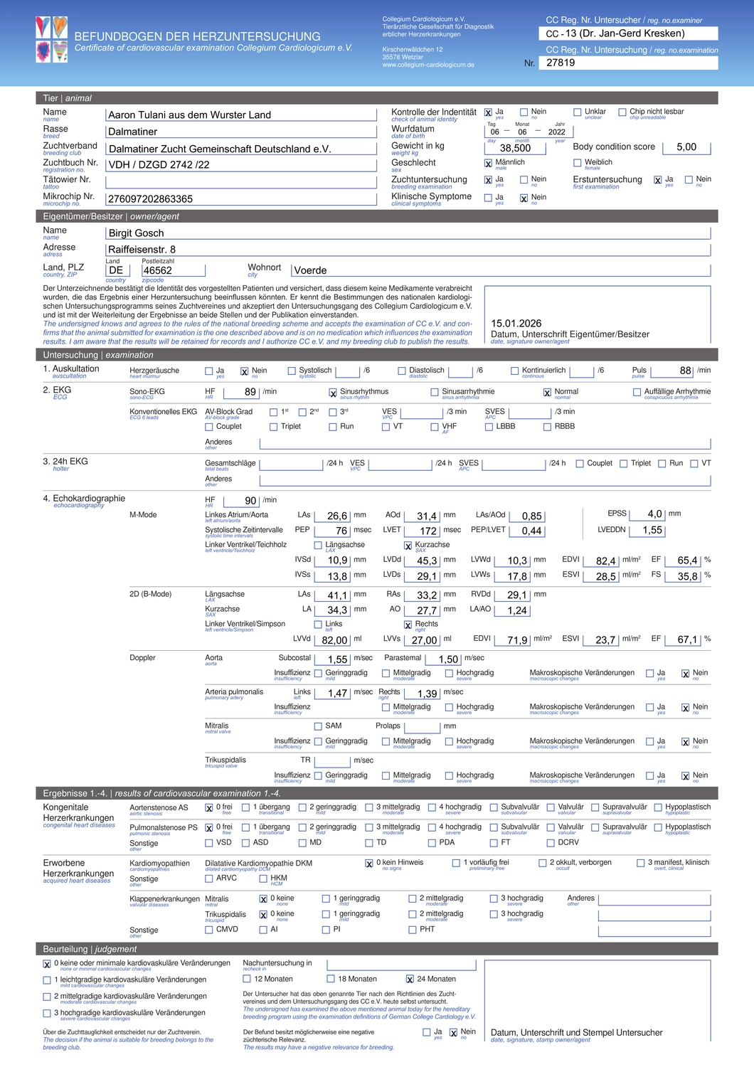 Dalmatiner - Zuchtstätte - Tierärztlicher Bericht über eine Ultraschalluntersuchung einer trächtigen Hündin namens Merle