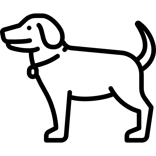 Dalmatiner von der Rheinlandaue